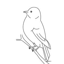 ぬりえページ: 鳥 (動物) #11844 - 無料の印刷可能なぬりえページ