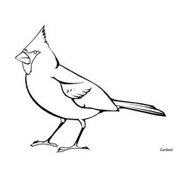 ぬりえページ: 鳥 (動物) #11870 - 無料の印刷可能なぬりえページ