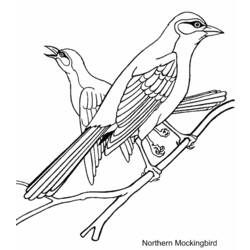 ぬりえページ: 鳥 (動物) #11871 - 無料の印刷可能なぬりえページ