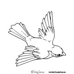 ぬりえページ: 鳥 (動物) #11874 - 無料の印刷可能なぬりえページ