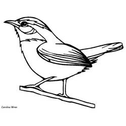 ぬりえページ: 鳥 (動物) #11882 - 無料の印刷可能なぬりえページ