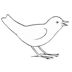 ぬりえページ: 鳥 (動物) #11884 - 無料の印刷可能なぬりえページ