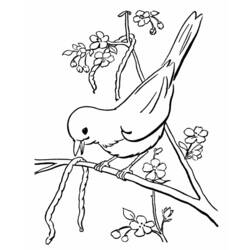 ぬりえページ: 鳥 (動物) #11885 - 無料の印刷可能なぬりえページ
