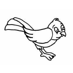 ぬりえページ: 鳥 (動物) #11892 - 無料の印刷可能なぬりえページ