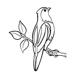 ぬりえページ: 鳥 (動物) #11893 - 無料の印刷可能なぬりえページ