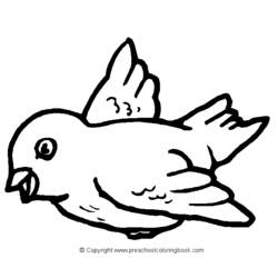 ぬりえページ: 鳥 (動物) #11904 - 無料の印刷可能なぬりえページ