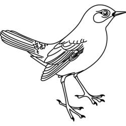 ぬりえページ: 鳥 (動物) #11913 - 無料の印刷可能なぬりえページ