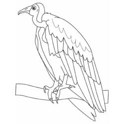 ぬりえページ: 鳥 (動物) #11914 - 無料の印刷可能なぬりえページ