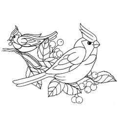ぬりえページ: 鳥 (動物) #11926 - 無料の印刷可能なぬりえページ