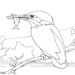 ぬりえページ: 鳥 (動物) #11939 - 無料の印刷可能なぬりえページ