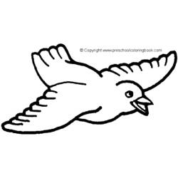 ぬりえページ: 鳥 (動物) #11940 - 無料の印刷可能なぬりえページ