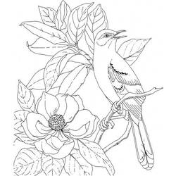 ぬりえページ: 鳥 (動物) #11943 - 無料の印刷可能なぬりえページ