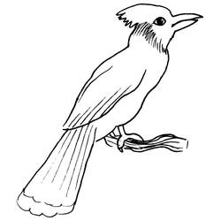 ぬりえページ: 鳥 (動物) #11947 - 無料の印刷可能なぬりえページ