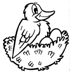 ぬりえページ: 鳥 (動物) #11958 - 無料の印刷可能なぬりえページ