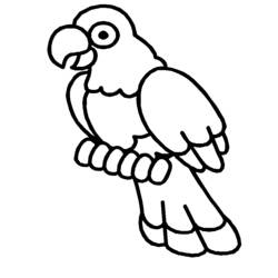 ぬりえ: 鳥 - 無料の印刷可能なぬりえページ