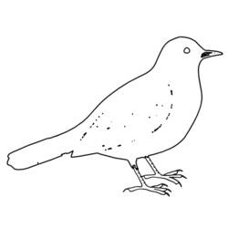 ぬりえページ: 鳥 (動物) #11977 - 無料の印刷可能なぬりえページ