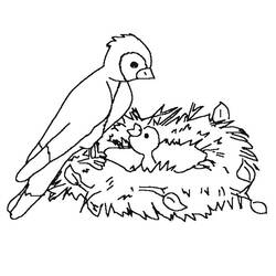 ぬりえページ: 鳥 (動物) #11980 - 無料の印刷可能なぬりえページ