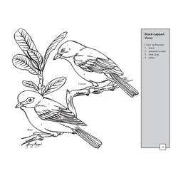 ぬりえページ: 鳥 (動物) #11981 - 無料の印刷可能なぬりえページ