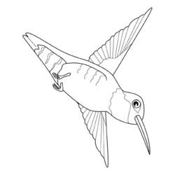 ぬりえページ: 鳥 (動物) #12018 - 無料の印刷可能なぬりえページ
