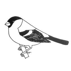 ぬりえページ: 鳥 (動物) #12019 - 無料の印刷可能なぬりえページ