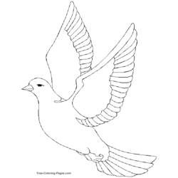ぬりえページ: 鳥 (動物) #12028 - 無料の印刷可能なぬりえページ