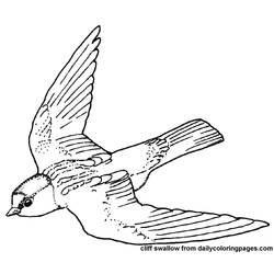 ぬりえページ: 鳥 (動物) #12029 - 無料の印刷可能なぬりえページ