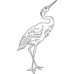 ぬりえページ: 鳥 (動物) #12067 - 無料の印刷可能なぬりえページ