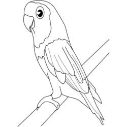 ぬりえページ: 鳥 (動物) #12084 - 無料の印刷可能なぬりえページ
