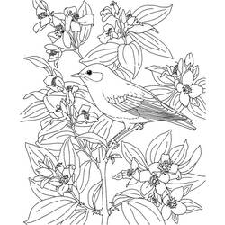 ぬりえページ: 鳥 (動物) #12108 - 無料の印刷可能なぬりえページ