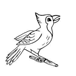 ぬりえページ: 鳥 (動物) #12112 - 無料の印刷可能なぬりえページ
