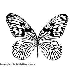 ぬりえページ: 蝶 (動物) #15665 - 無料の印刷可能なぬりえページ