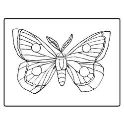 ぬりえページ: 蝶 (動物) #15667 - 無料の印刷可能なぬりえページ