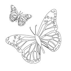 ぬりえページ: 蝶 (動物) #15672 - 無料の印刷可能なぬりえページ