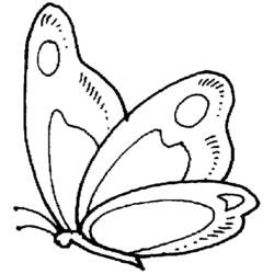 ぬりえページ: 蝶 (動物) #15685 - 無料の印刷可能なぬりえページ