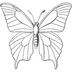 ぬりえページ: 蝶 (動物) #15693 - 無料の印刷可能なぬりえページ