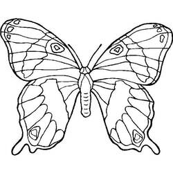 ぬりえページ: 蝶 (動物) #15697 - 無料の印刷可能なぬりえページ