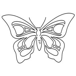 ぬりえページ: 蝶 (動物) #15707 - 無料の印刷可能なぬりえページ