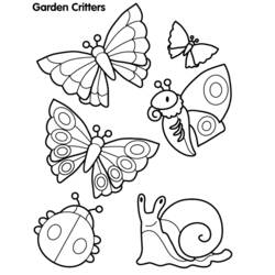 ぬりえページ: 蝶 (動物) #15714 - 無料の印刷可能なぬりえページ