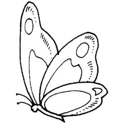 ぬりえページ: 蝶 (動物) #15719 - 無料の印刷可能なぬりえページ