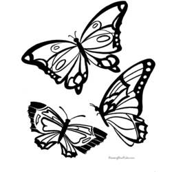 ぬりえページ: 蝶 (動物) #15730 - 無料の印刷可能なぬりえページ