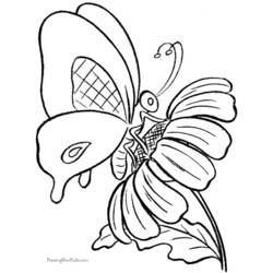 ぬりえページ: 蝶 (動物) #15732 - 無料の印刷可能なぬりえページ