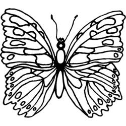 ぬりえページ: 蝶 (動物) #15746 - 無料の印刷可能なぬりえページ