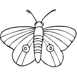ぬりえページ: 蝶 (動物) #15752 - 無料の印刷可能なぬりえページ