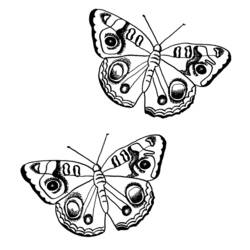 ぬりえページ: 蝶 (動物) #15764 - 無料の印刷可能なぬりえページ