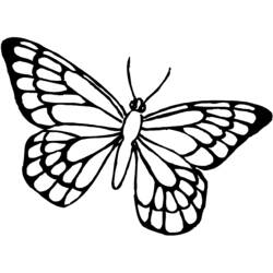ぬりえ: 蝶 - 無料の印刷可能なぬりえページ