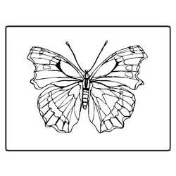 ぬりえページ: 蝶 (動物) #15774 - 無料の印刷可能なぬりえページ