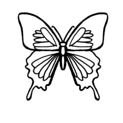 ぬりえページ: 蝶 (動物) #15779 - 無料の印刷可能なぬりえページ