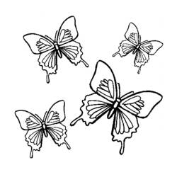 ぬりえページ: 蝶 (動物) #15788 - 無料の印刷可能なぬりえページ