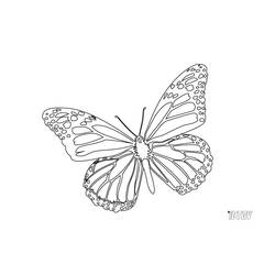 ぬりえページ: 蝶 (動物) #15794 - 無料の印刷可能なぬりえページ