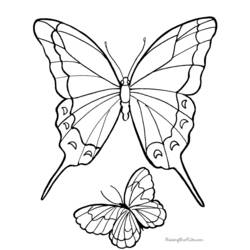 ぬりえページ: 蝶 (動物) #15797 - 無料の印刷可能なぬりえページ